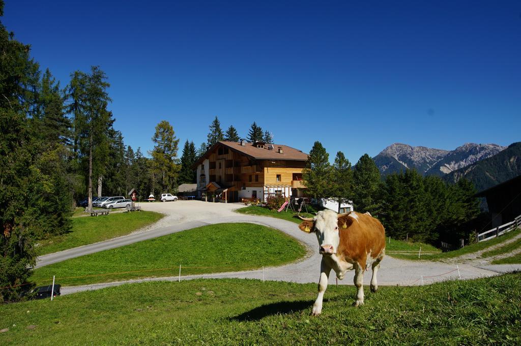 Chalet Frapes San Martino in Badia Esterno foto