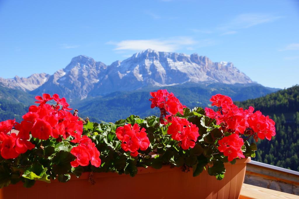 Chalet Frapes San Martino in Badia Esterno foto